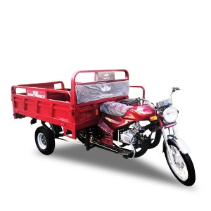 STALLION X 100CC