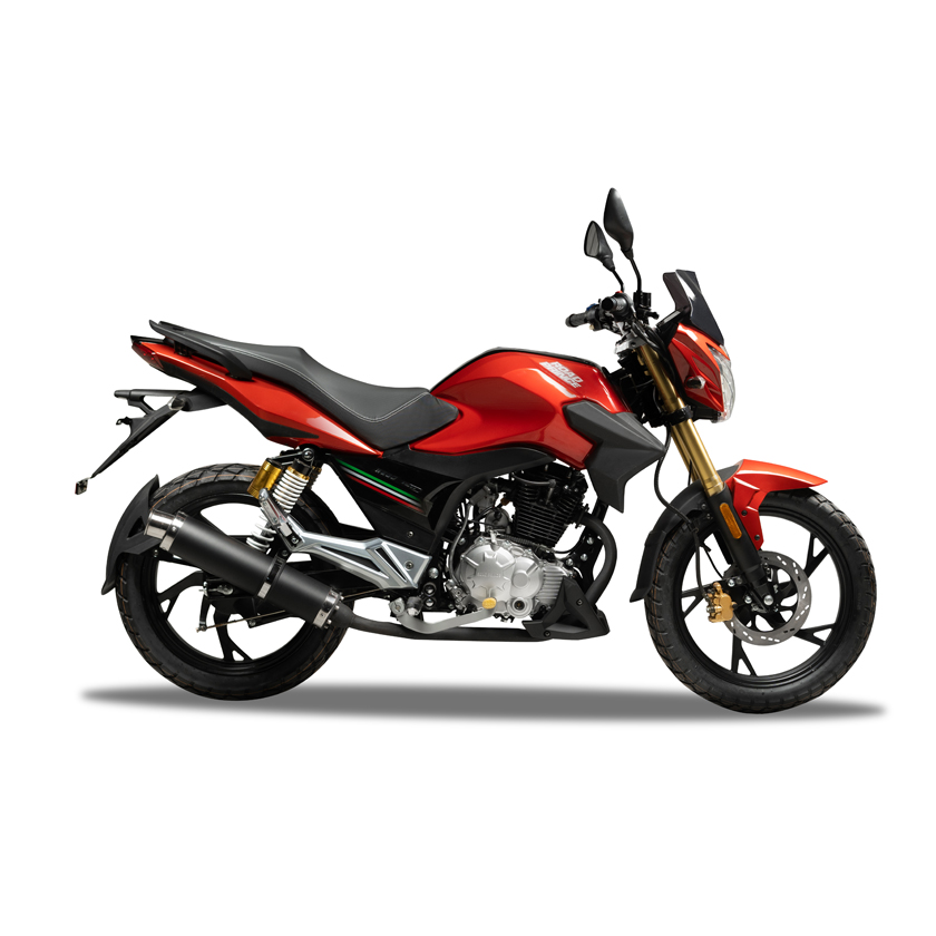 WEGO 150 - Image 4