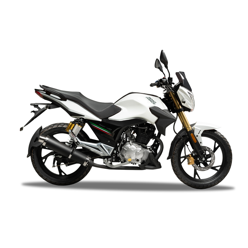 WEGO 150 - Image 3